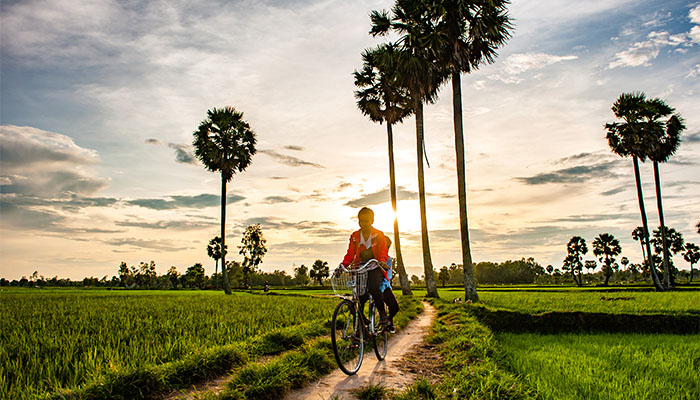 3-988-Riding bike in the field of Mekong Delta